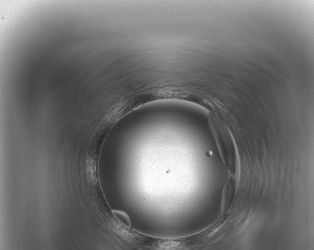 X0000054420669200508051807