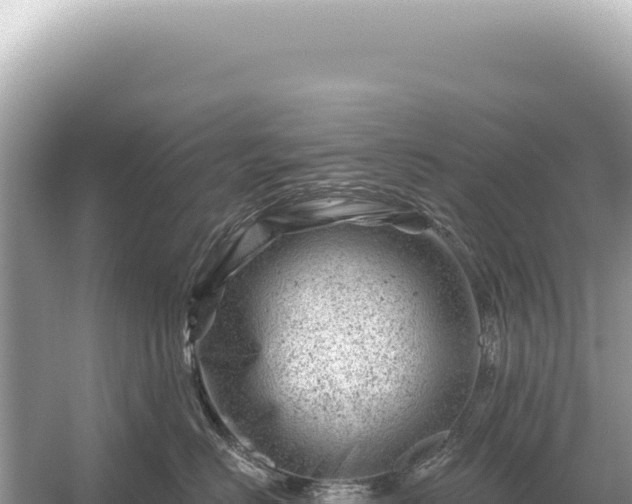 X0000054420670200508051807