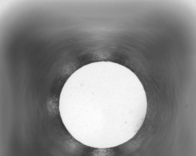 X0000054420672200508051807