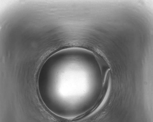 X0000054420673200508051806