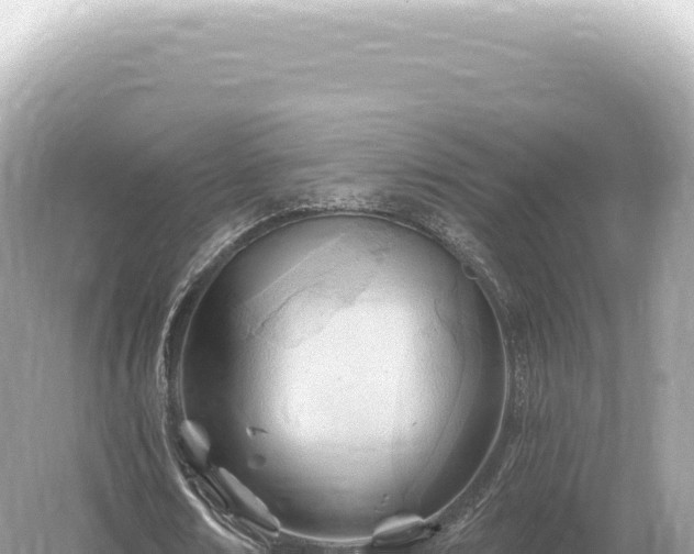 X0000054420674200508051806