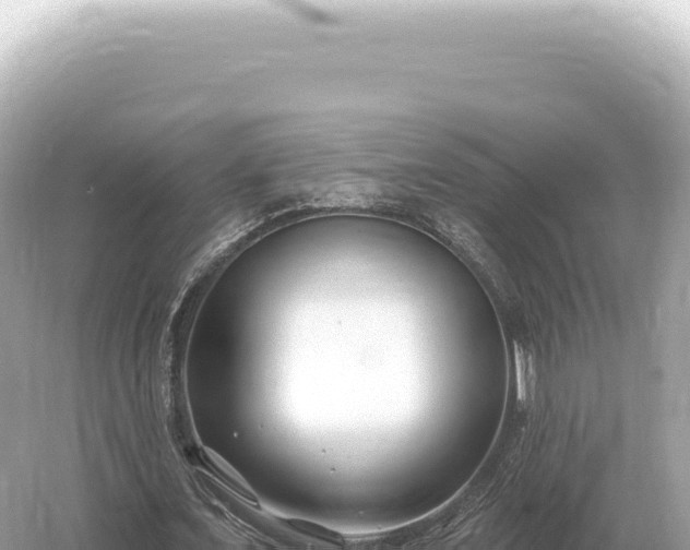 X0000054420675200508051806