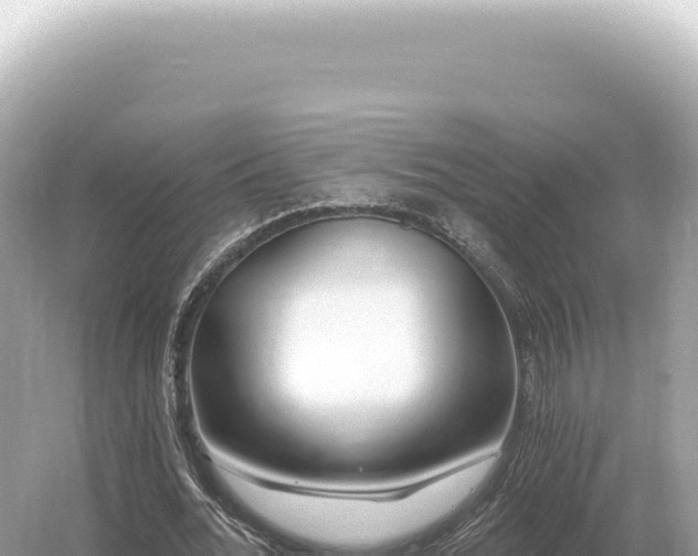 X0000054420676200508051806