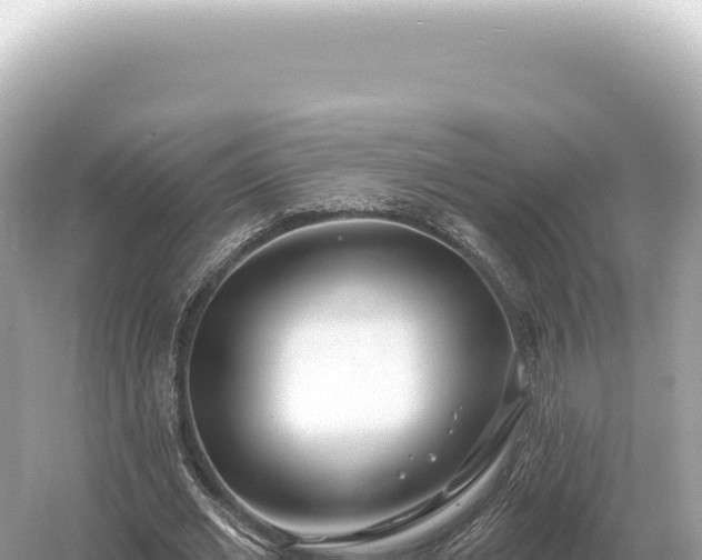 X0000054420677200508051806