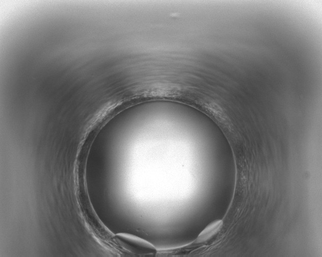 X0000054420678200508051806