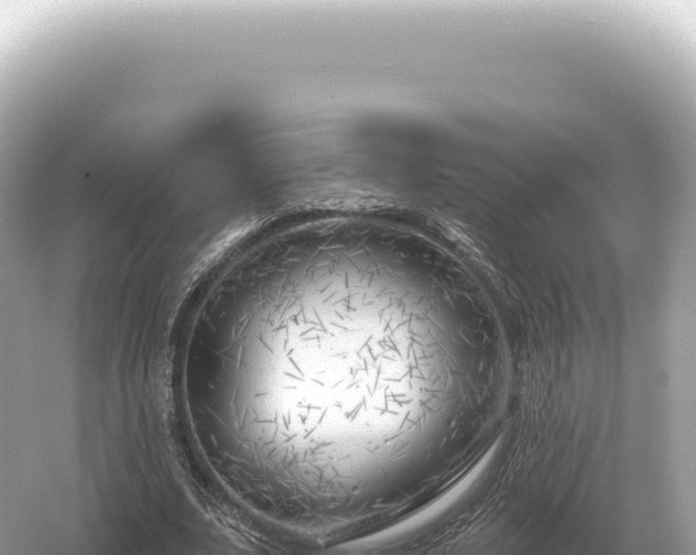 X0000054420679200508051806