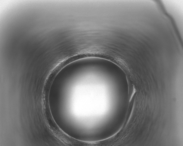 X0000054420680200508051806