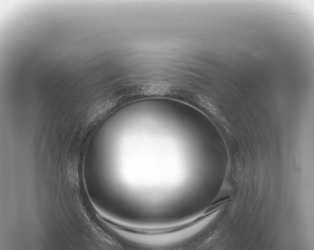 X0000054420681200508051806