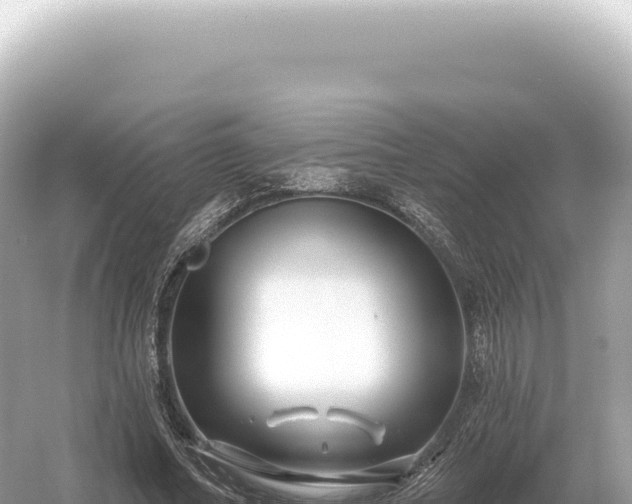 X0000054420682200508051806