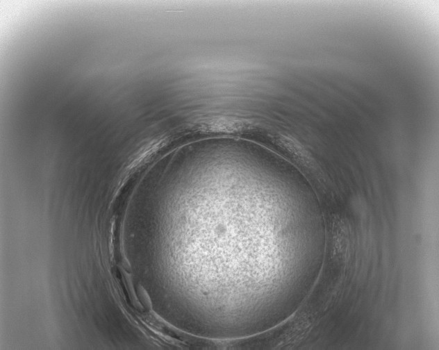 X0000054420683200508051806