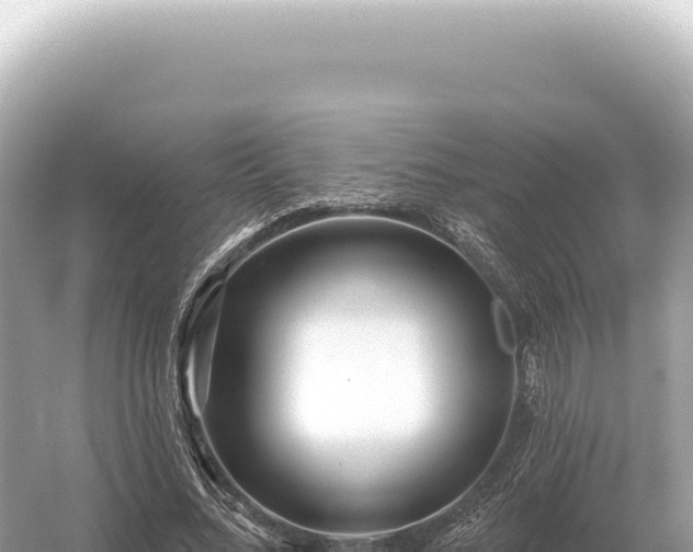 X0000054420684200508051806