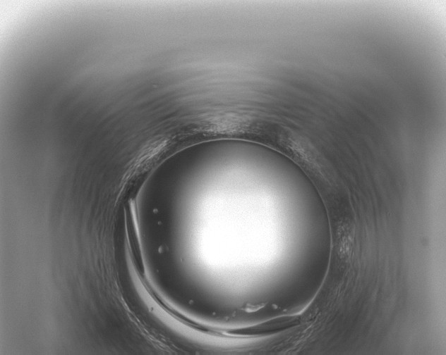 X0000054420685200508051806