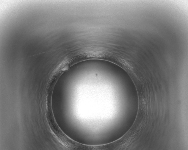 X0000054420686200508051806