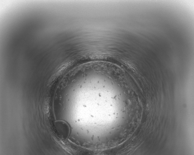 X0000054420687200508051806