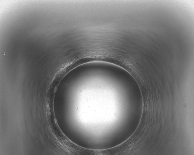 X0000054420688200508051806