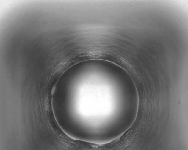 X0000054420689200508051806