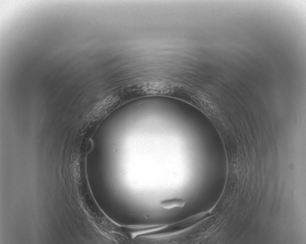 X0000054420690200508051806