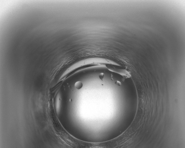 X0000054420691200508051806