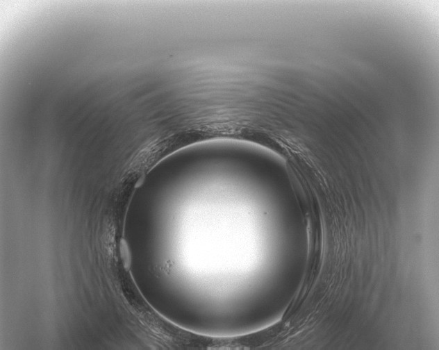 X0000054420693200508051806