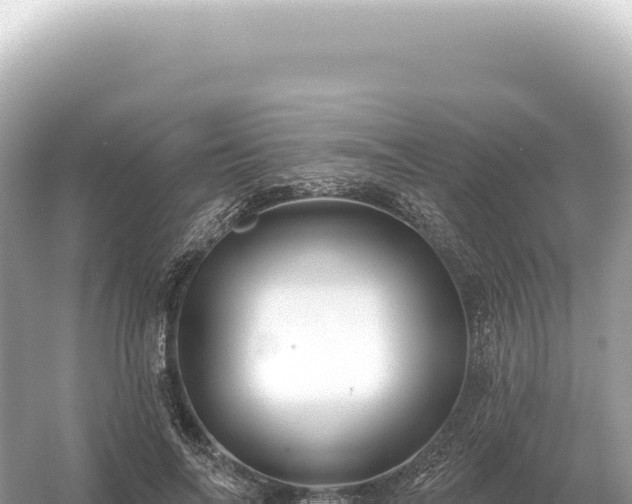 X0000054420694200508051806