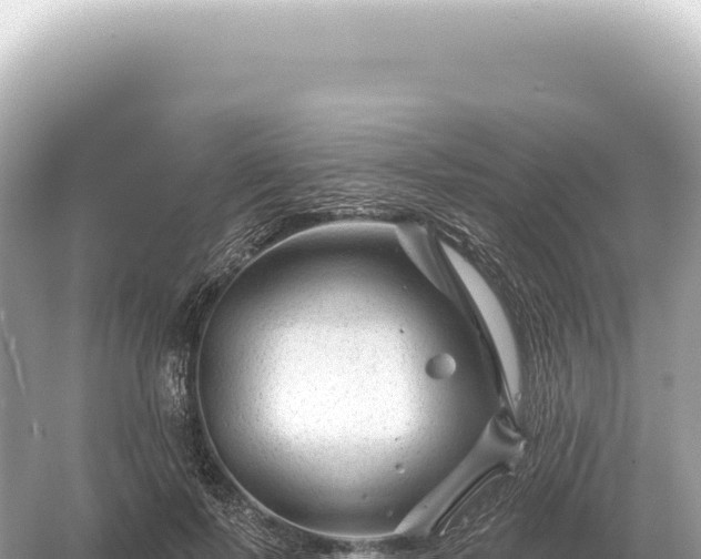 X0000054420695200508051806