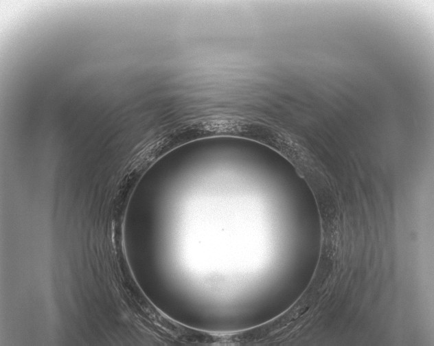 X0000054420696200508051806