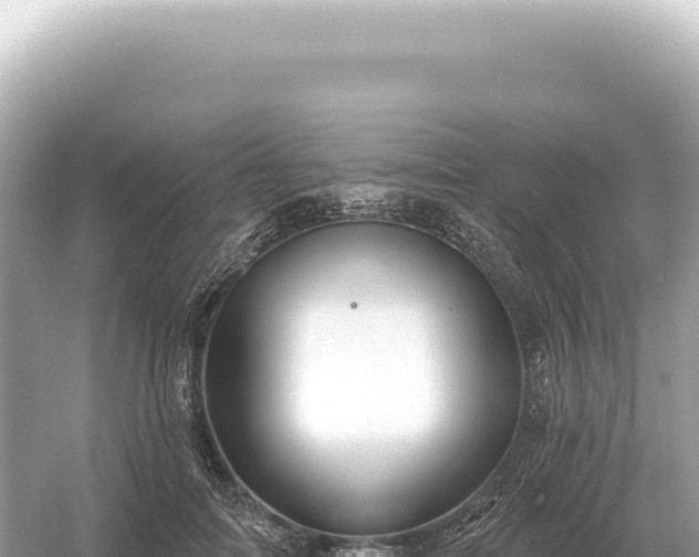 X0000054420698200508051806