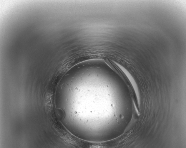 X0000054420699200508051806