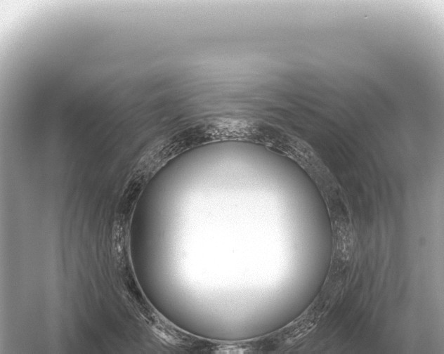 X0000054420701200508051806