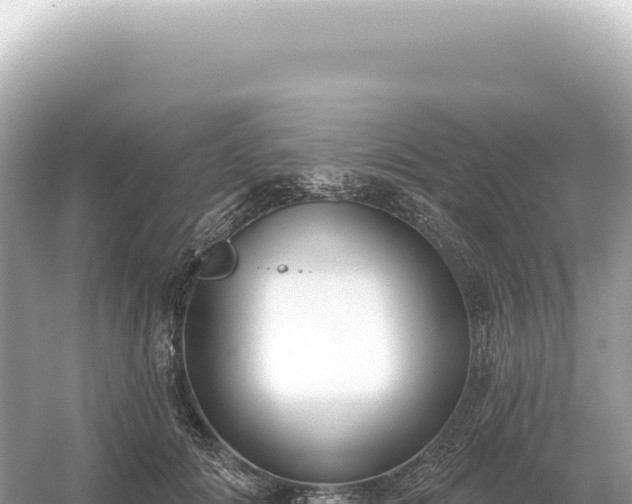 X0000054420702200508051806