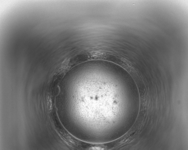 X0000054420703200508051806