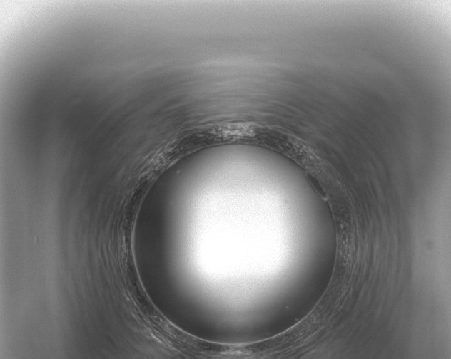 X0000054420704200508051806