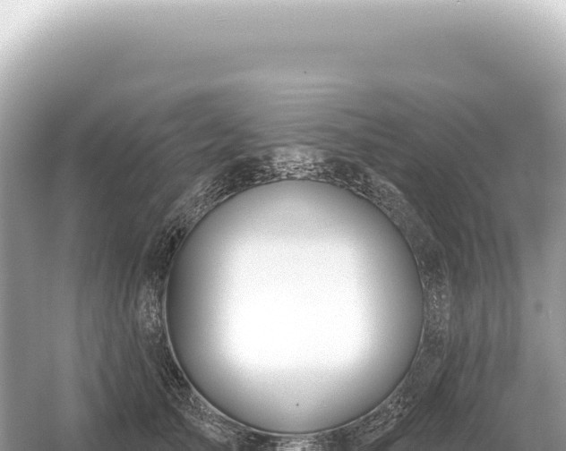 X0000054420705200508051806