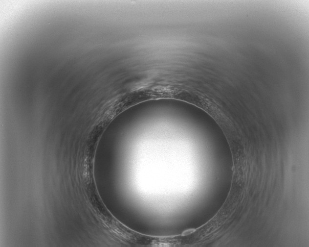 X0000054420706200508051806