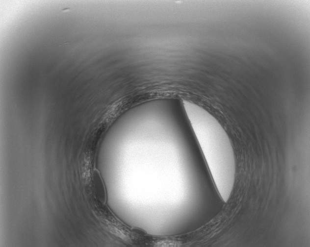 X0000054420708200508051806