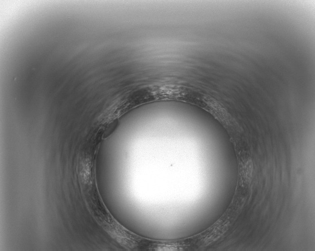 X0000054420709200508051806