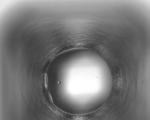 X0000054420710200508051806