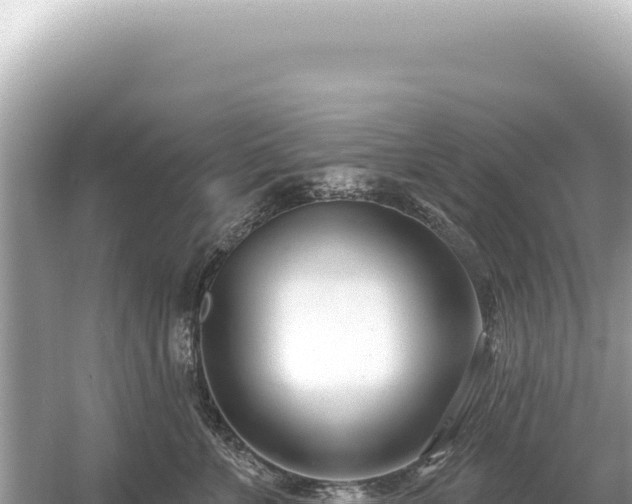 X0000054420715200508051806