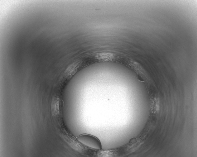 X0000054420717200508051806