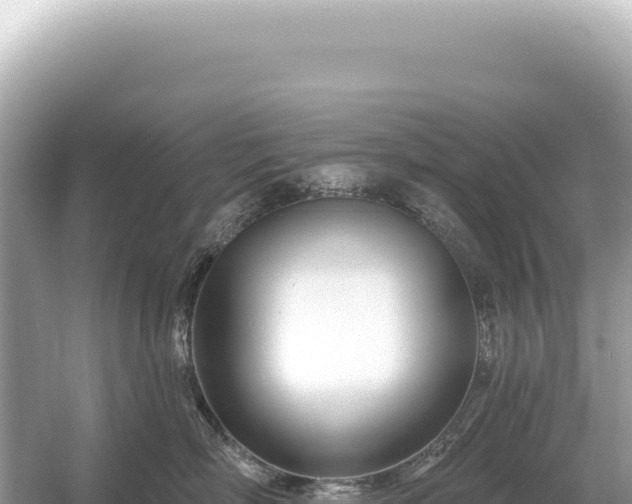 X0000054420718200508051806