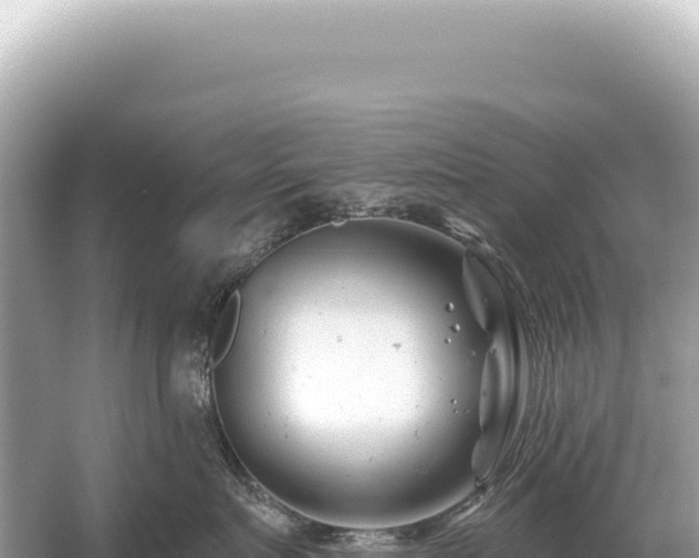 X0000054420719200508051806