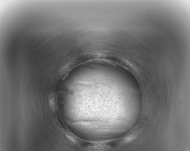 X0000054420720200508051806