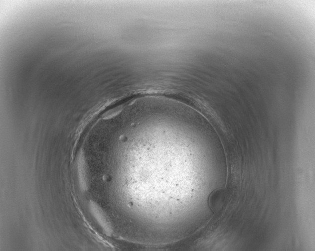 X0000054420721200508051805