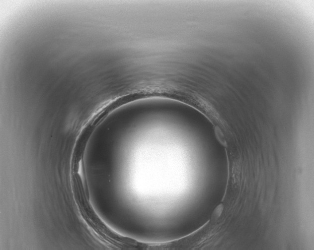 X0000054420722200508051805