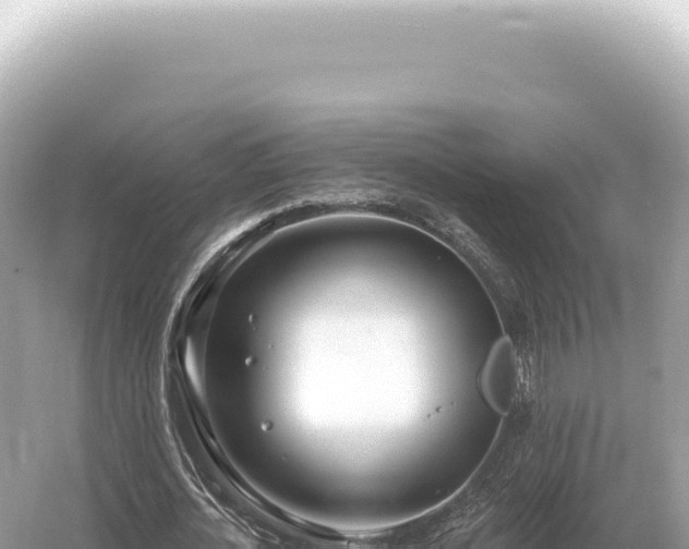 X0000054420724200508051805