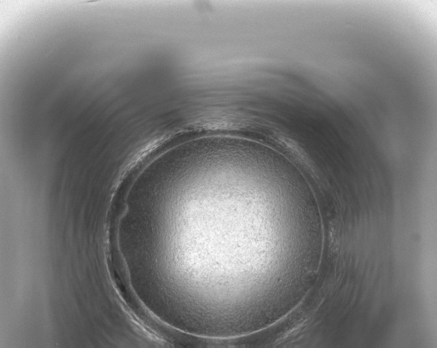 X0000054420725200508051805