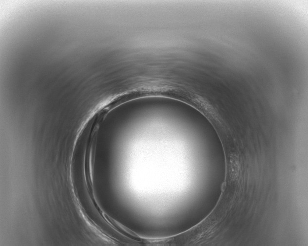 X0000054420726200508051805