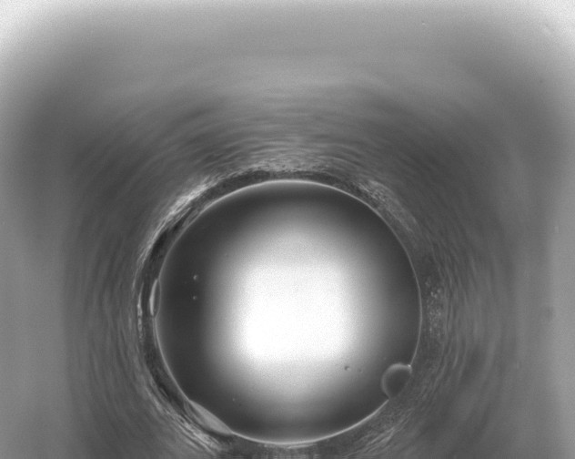 X0000054420727200508051805