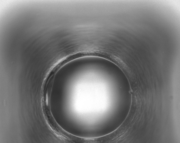 X0000054420728200508051805