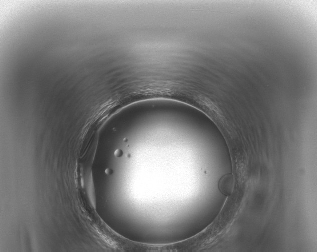 X0000054420729200508051805